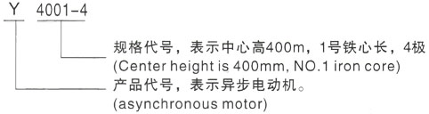 西安泰富西玛Y系列(H355-1000)高压YJTG-315S-10A/45KW三相异步电机型号说明