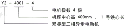 YR系列(H355-1000)高压YJTG-315S-10A/45KW三相异步电机西安西玛电机型号说明